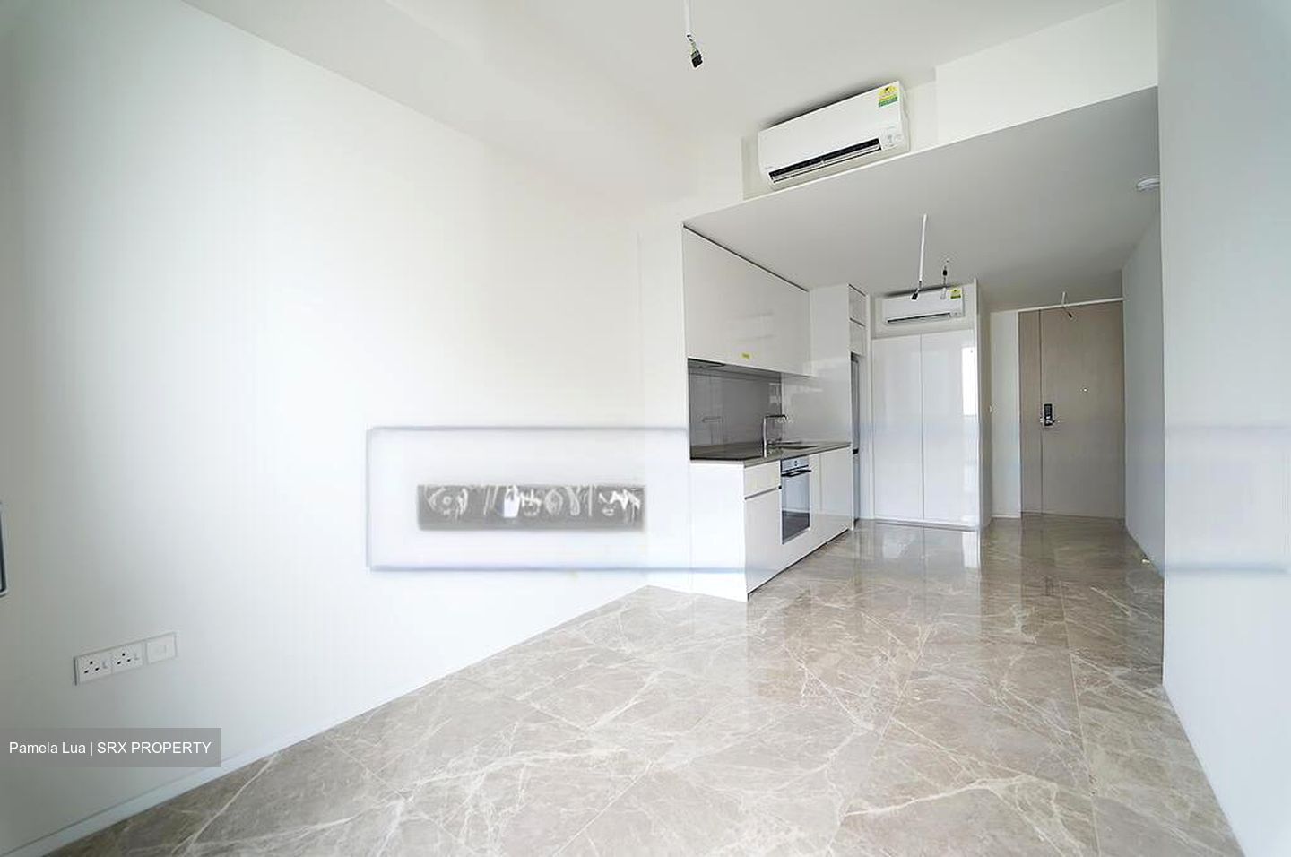 Amber Park (D15), Condominium #595774721